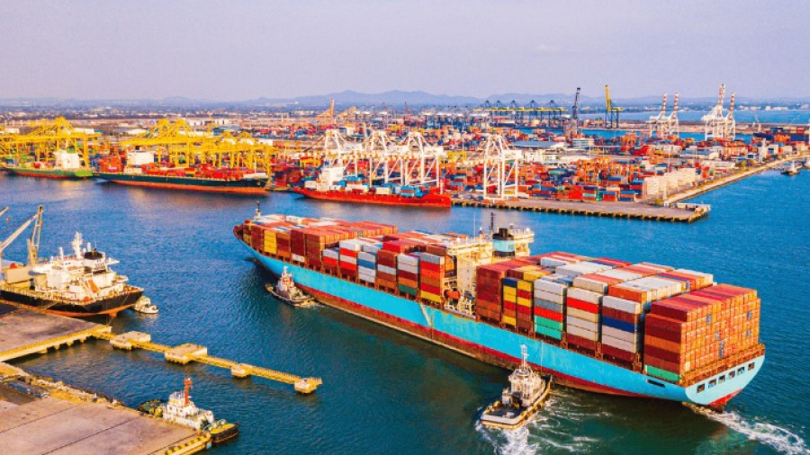 Jasa Import China Vs Jasa Forwarder: Pilih Mana?